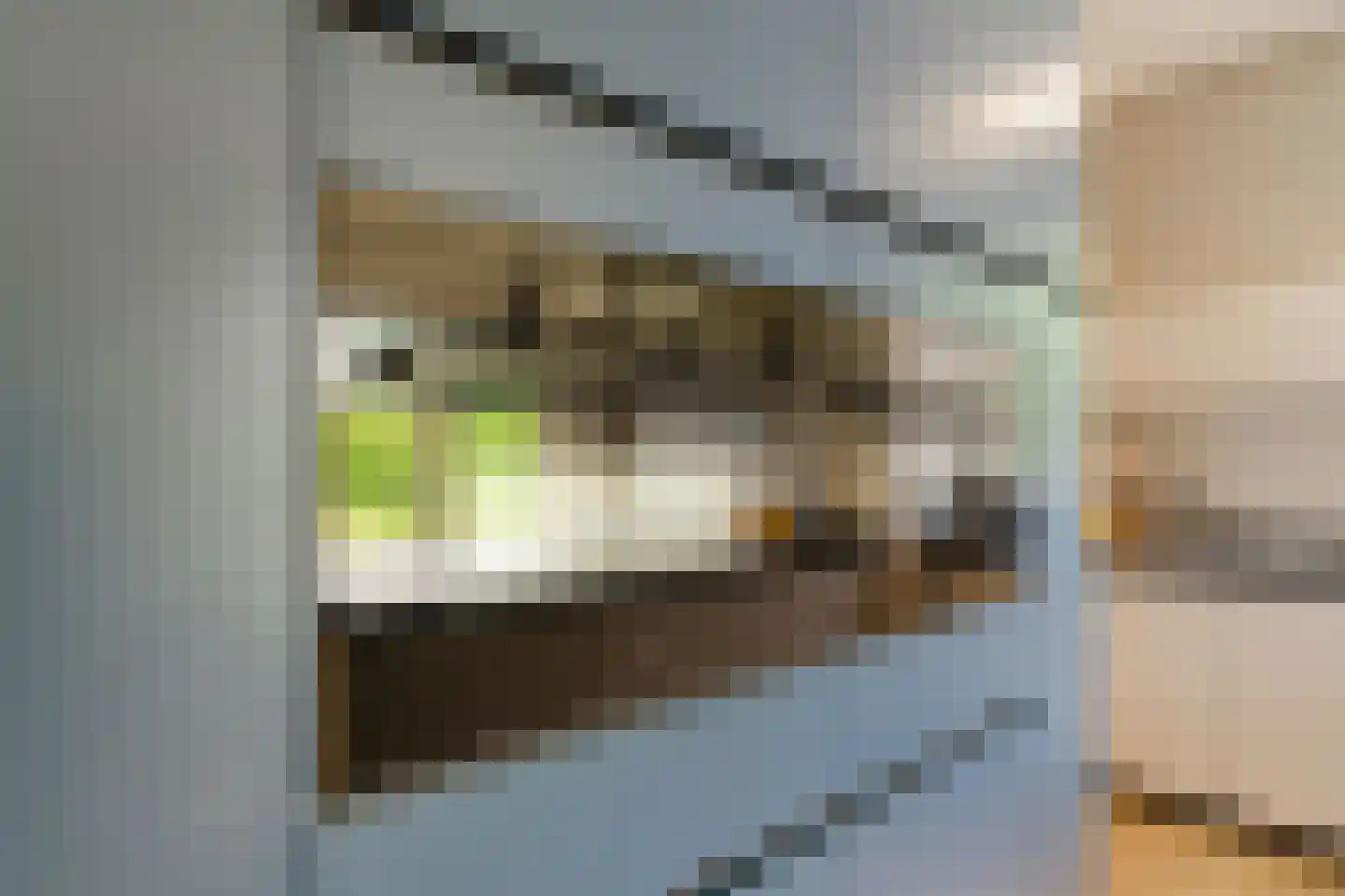 Polderstraat 22 Macharen thumbnail 16