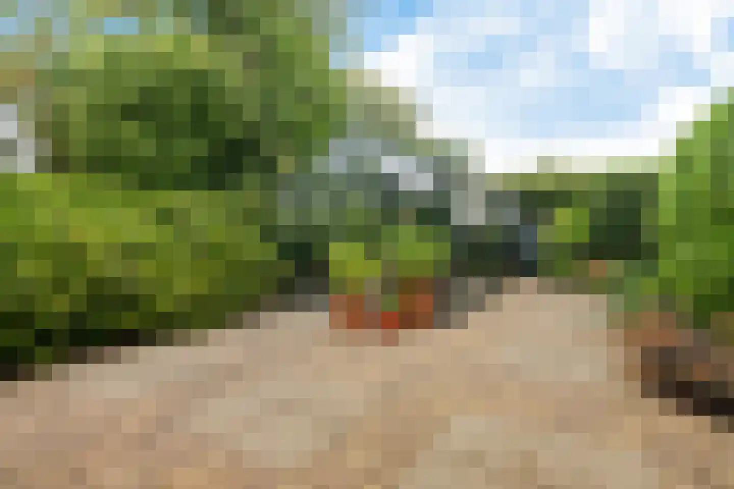 Polderstraat 22 Macharen thumbnail 40