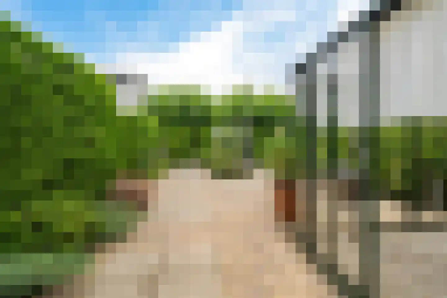 Polderstraat 22 Macharen thumbnail 41