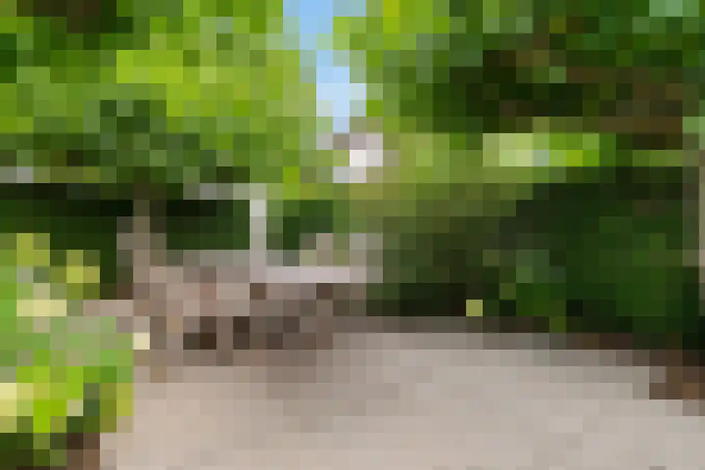 Polderstraat 22 Macharen thumbnail 42