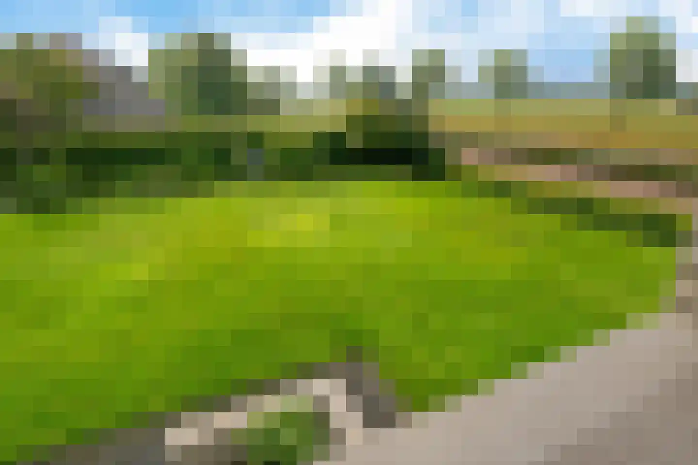 Polderstraat 22 Macharen thumbnail 43