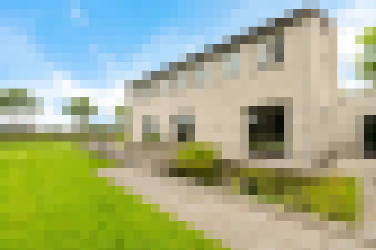 Polderstraat 22 Macharen thumbnail 47