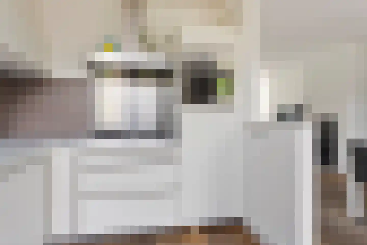 Polderstraat 22 Terheijden thumbnail 17