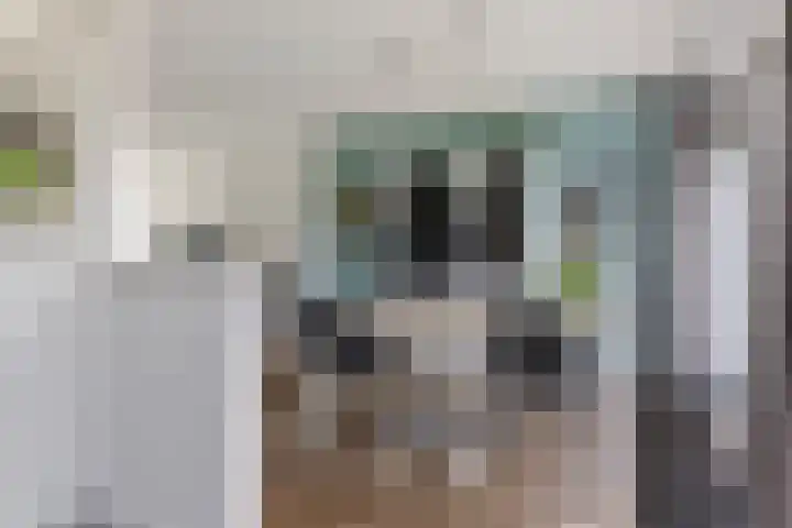 Polderstraat 22 Terheijden thumbnail 18