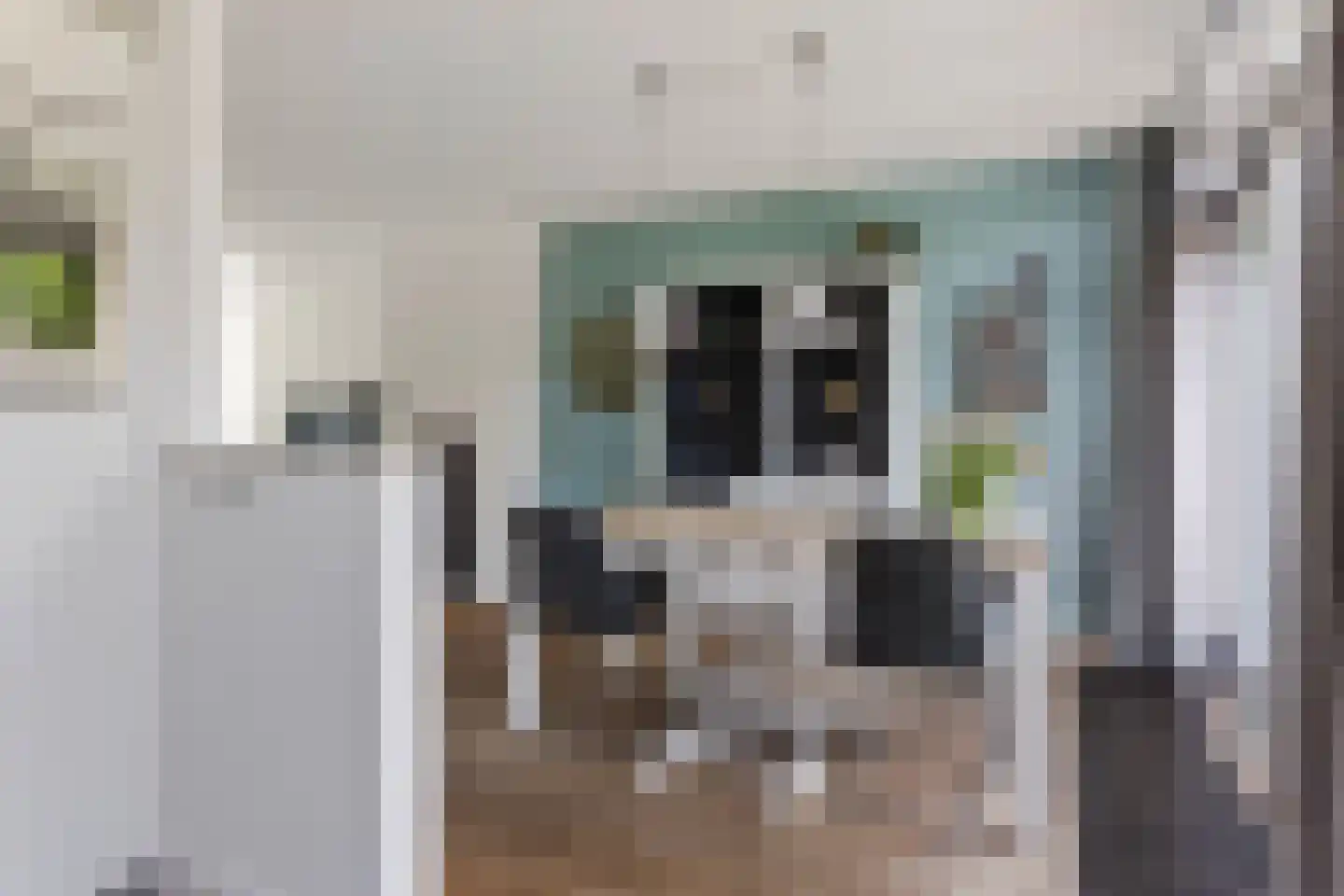 Polderstraat 22 Terheijden thumbnail 19