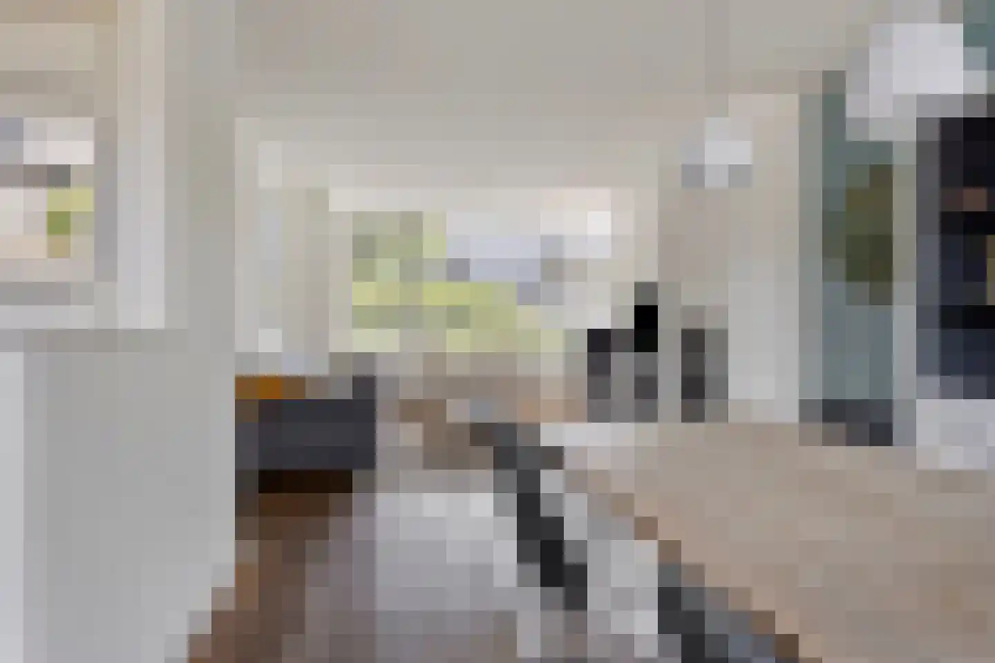 Polderstraat 22 Terheijden thumbnail 20