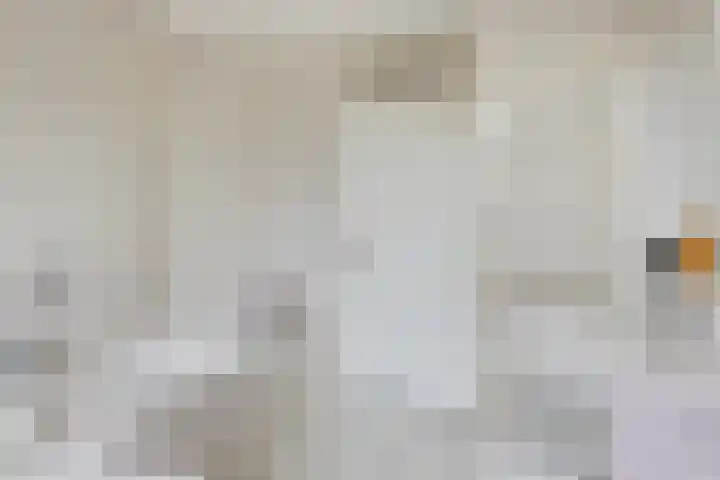 Polderstraat 22 Terheijden thumbnail 27