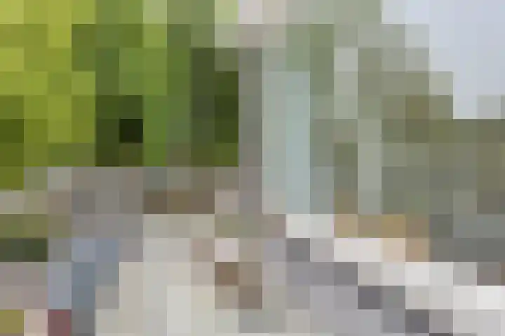 Polderstraat 22 Terheijden thumbnail 30