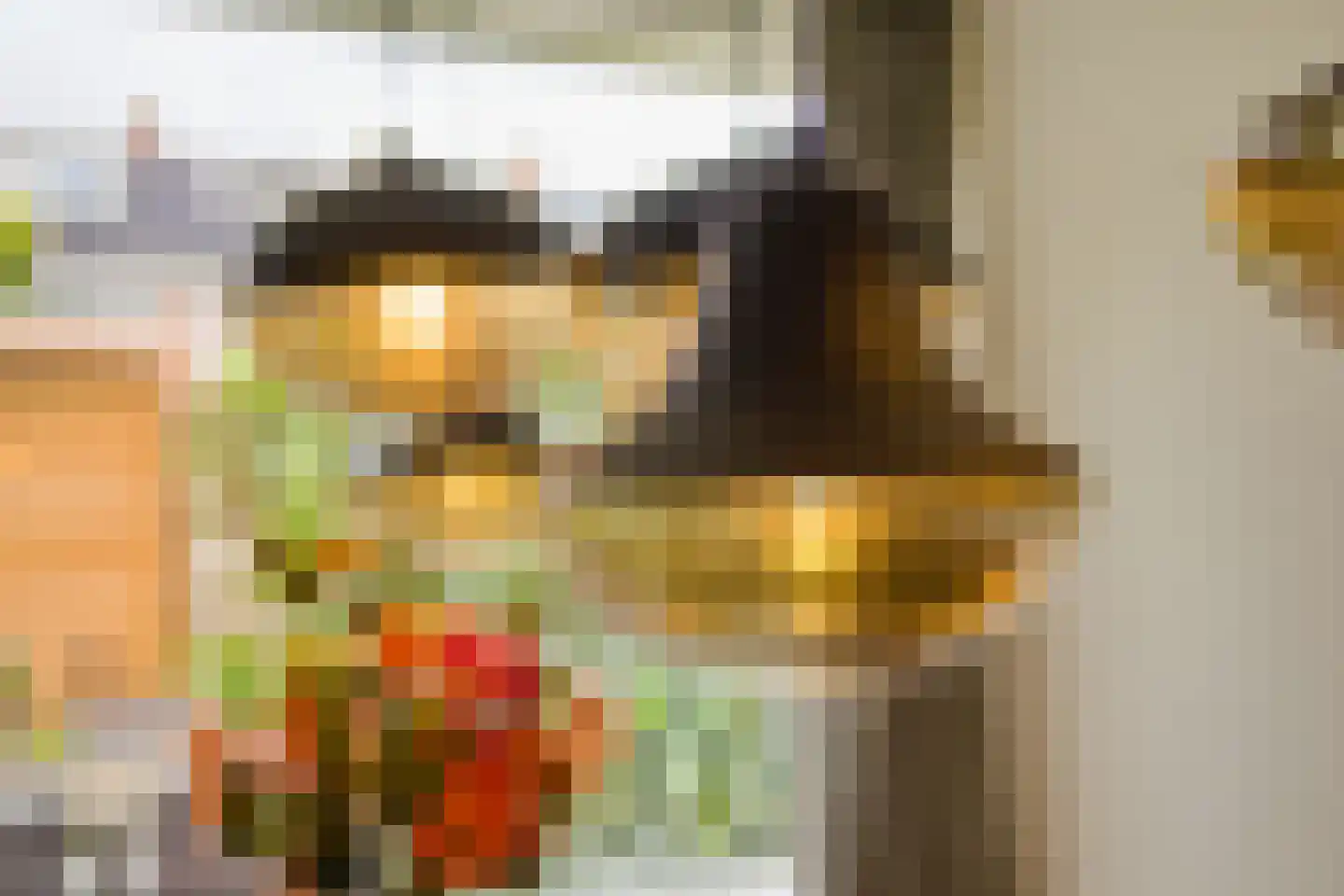 Polderstraat 24 Terheijden thumbnail 13