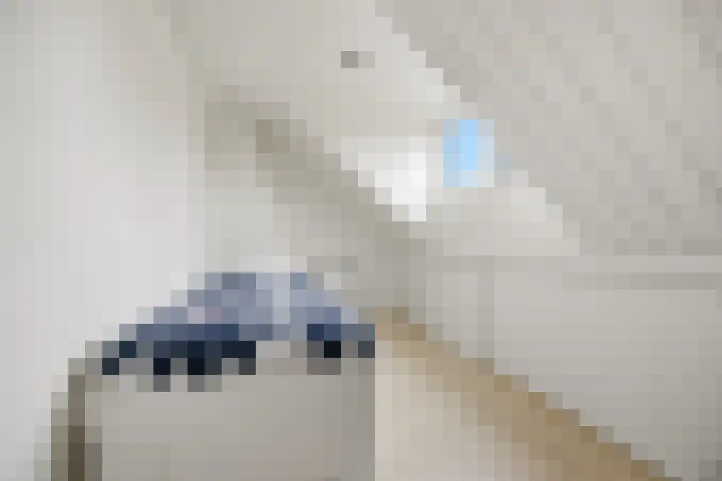 Polderstraat 24 Terheijden thumbnail 33