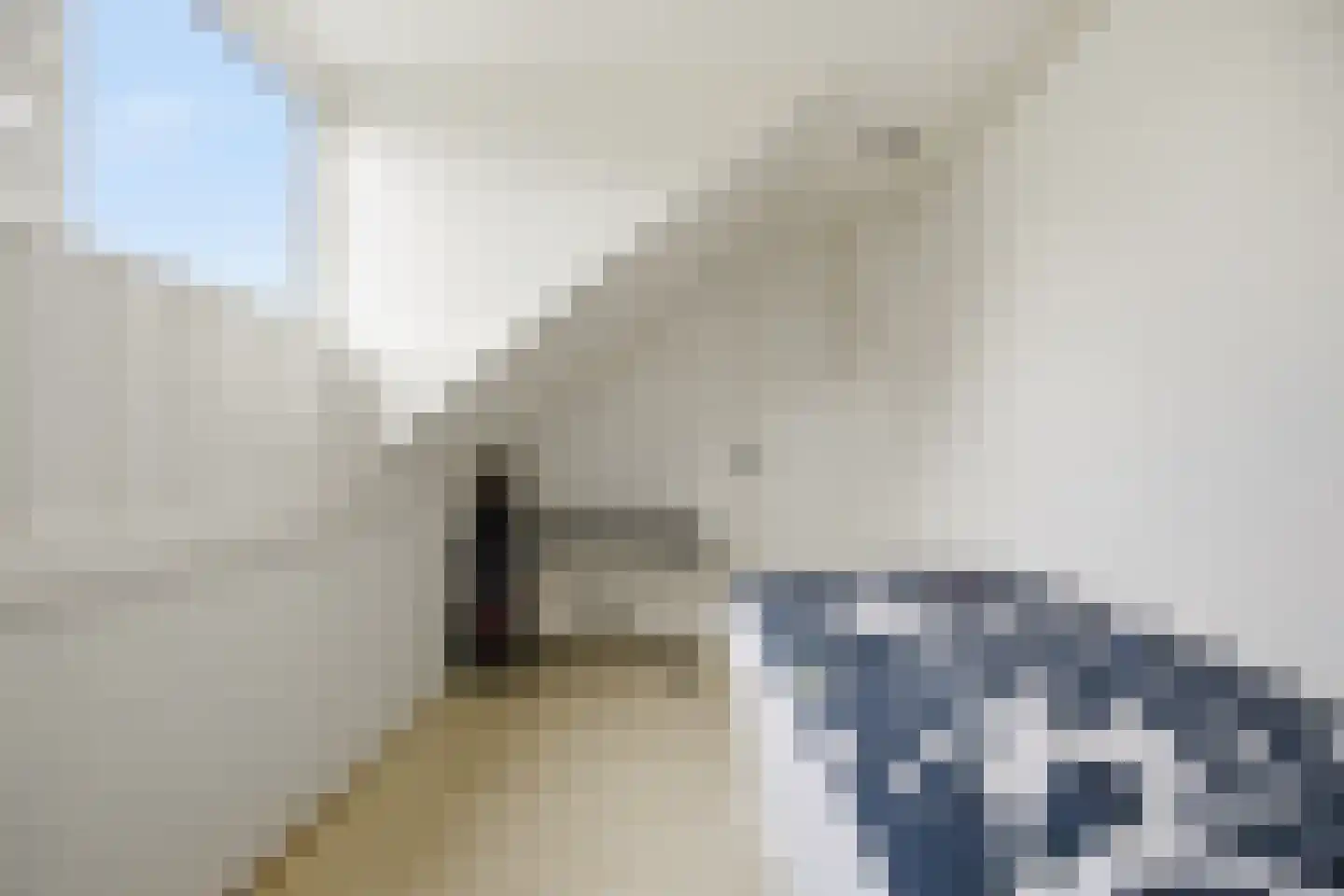 Polderstraat 24 Terheijden thumbnail 34
