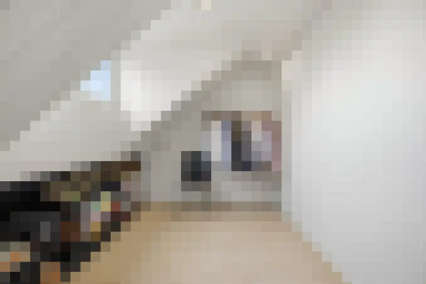 Polderstraat 24 Terheijden thumbnail 35