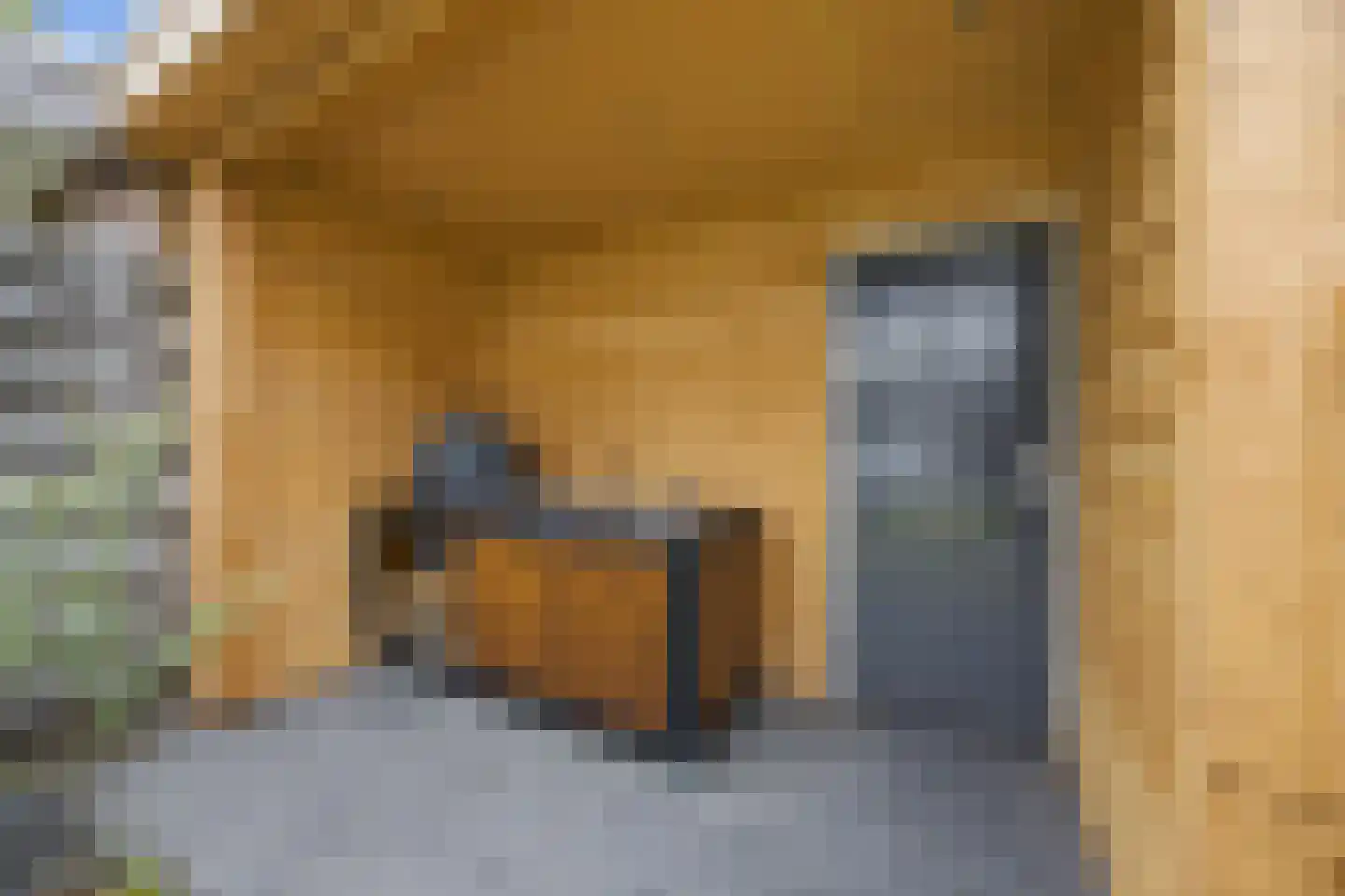 Polderstraat 24 Terheijden thumbnail 41