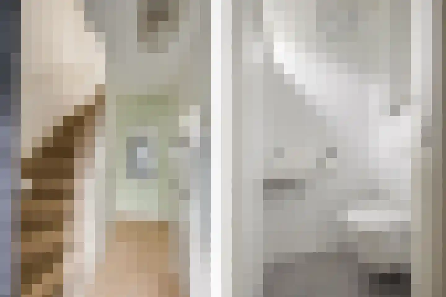 Polderstraat 24 Terheijden thumbnail 7