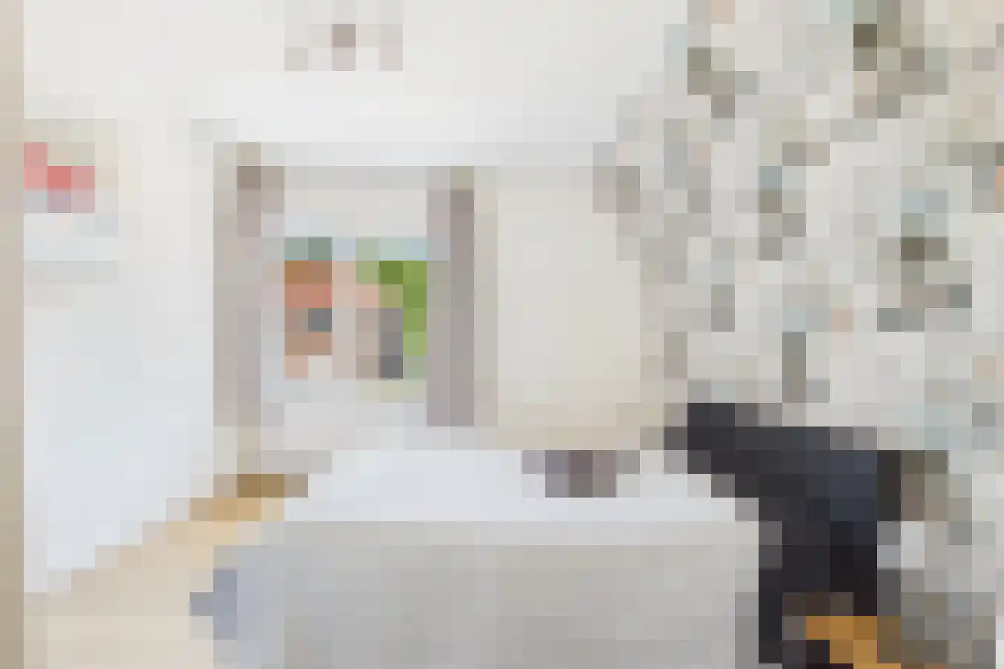 Polderstraat 26 Zaamslag thumbnail 17