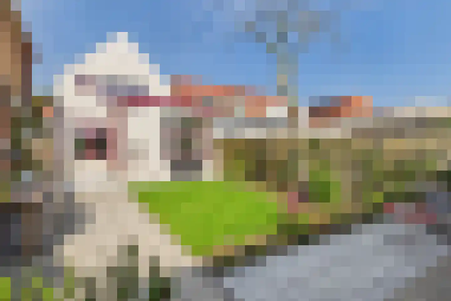Polderstraat 26 Zaamslag thumbnail 20