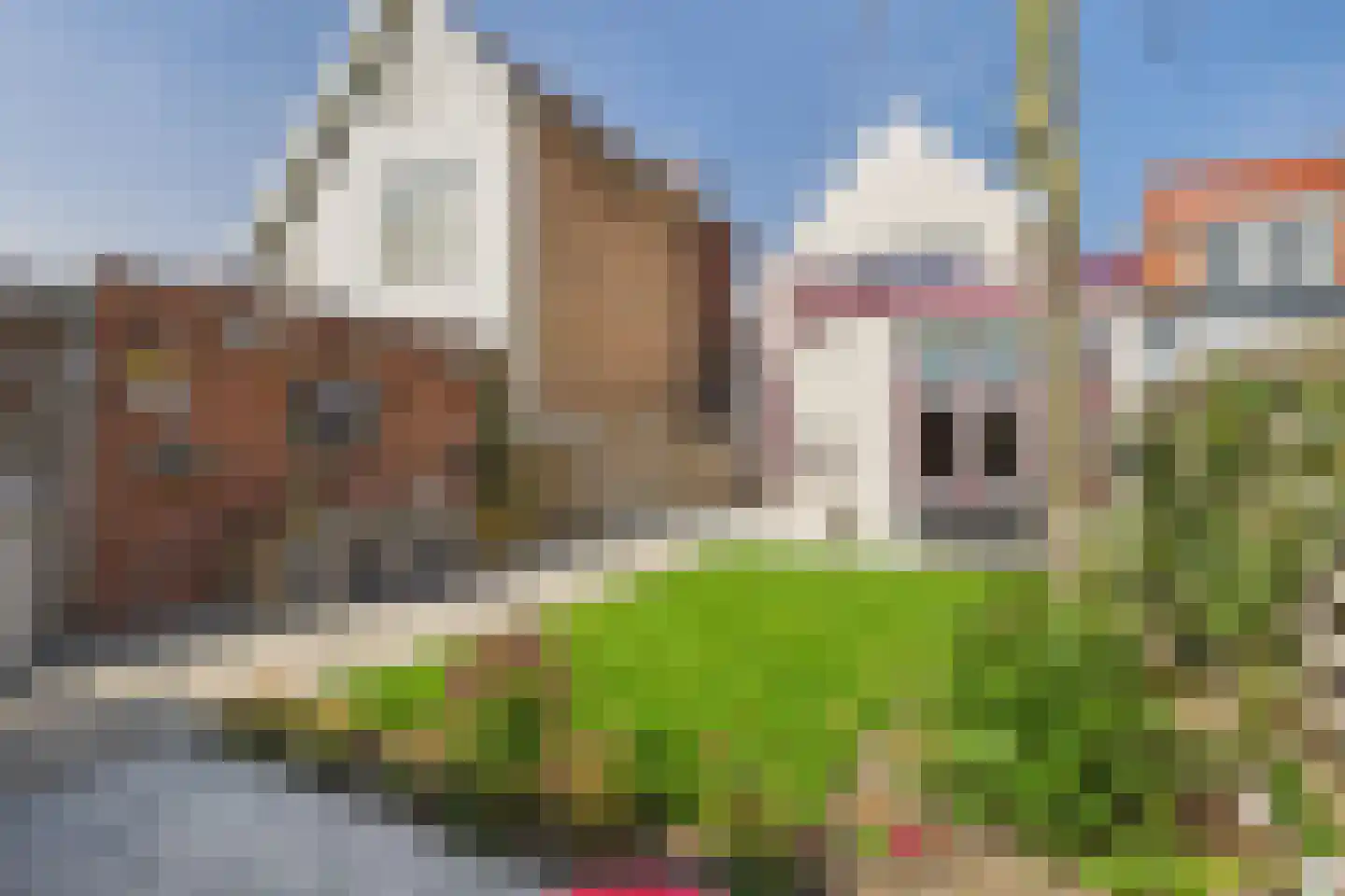 Polderstraat 26 Zaamslag thumbnail 21