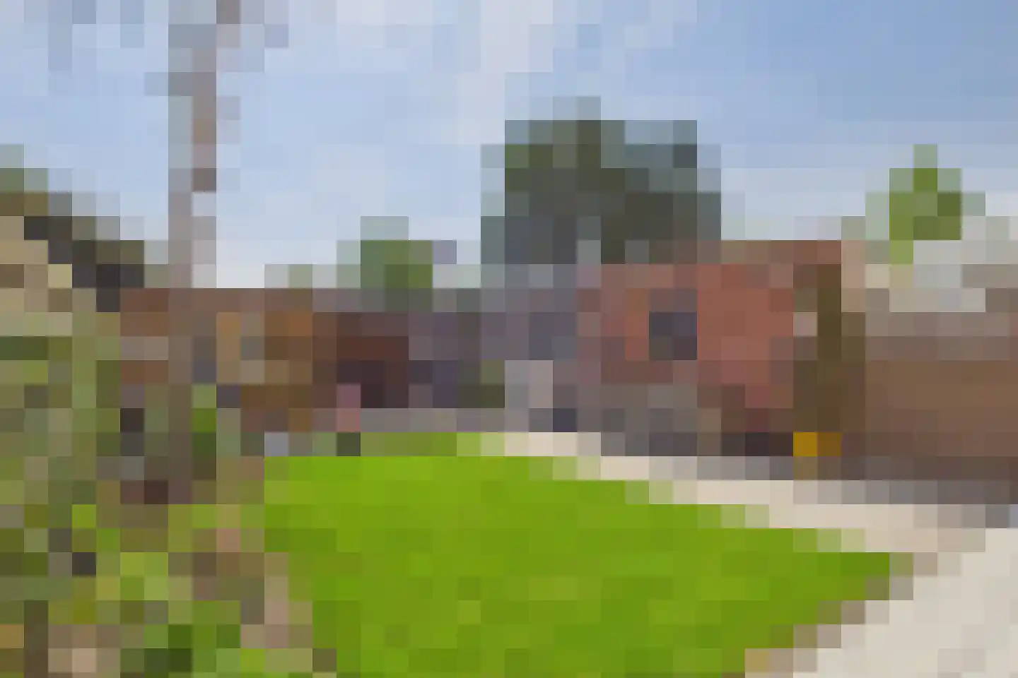 Polderstraat 26 Zaamslag thumbnail 24
