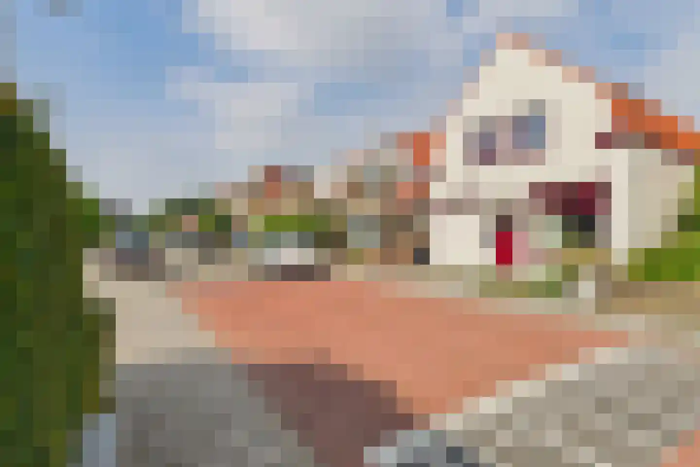 Polderstraat 26 Zaamslag thumbnail 5
