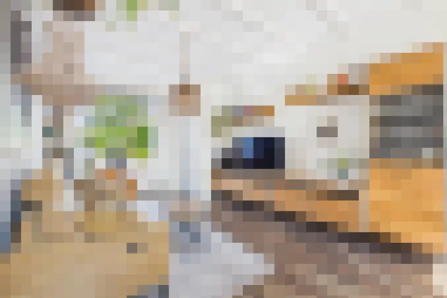Polderstraat 26 Zaamslag thumbnail 6