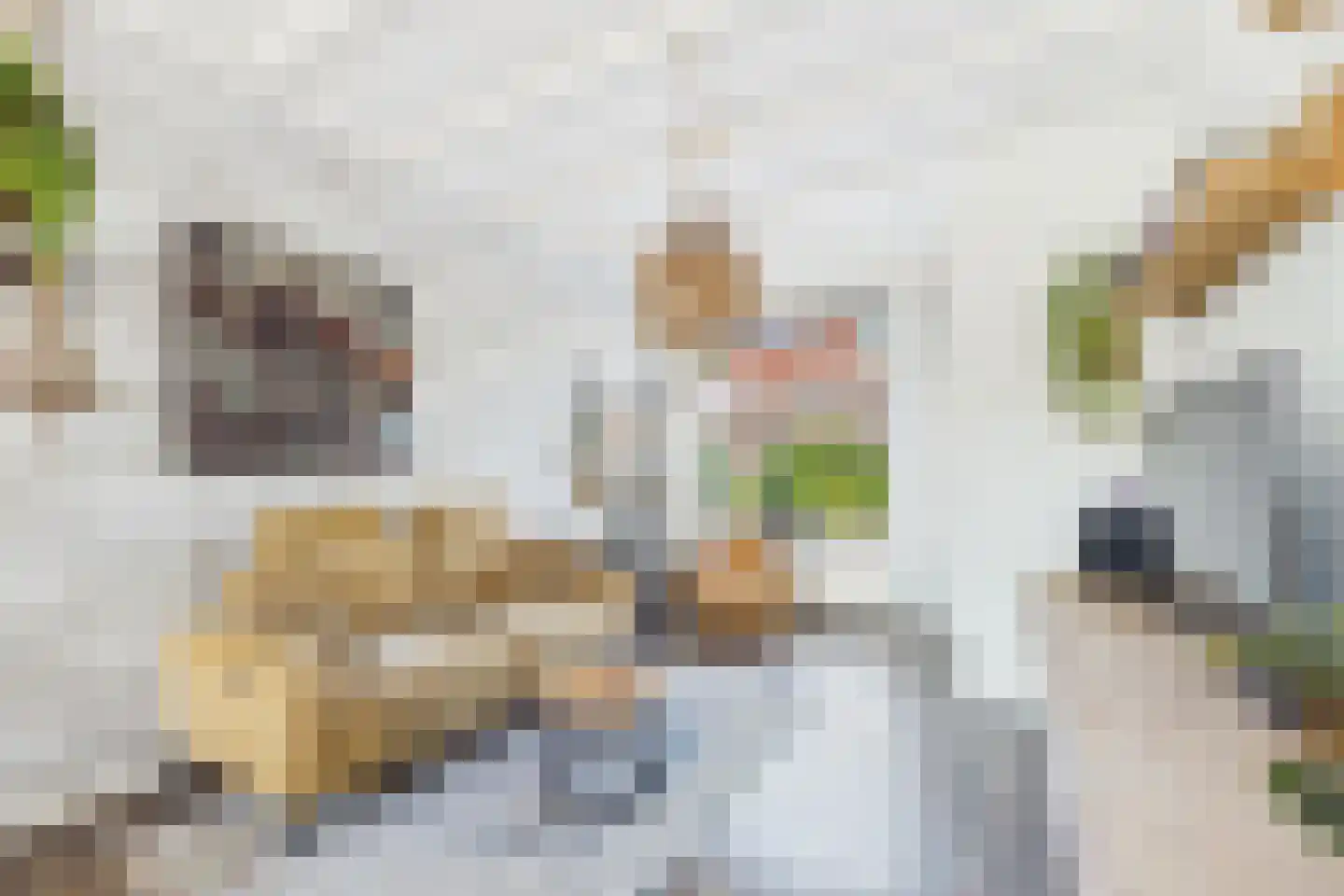 Polderstraat 26 Zaamslag thumbnail 8