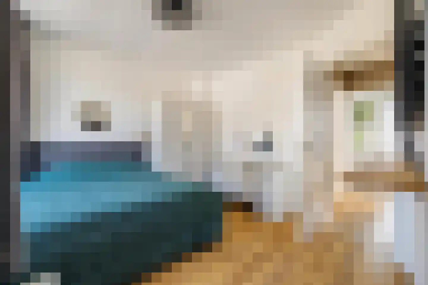 Polderstraat 30 Breda thumbnail 34