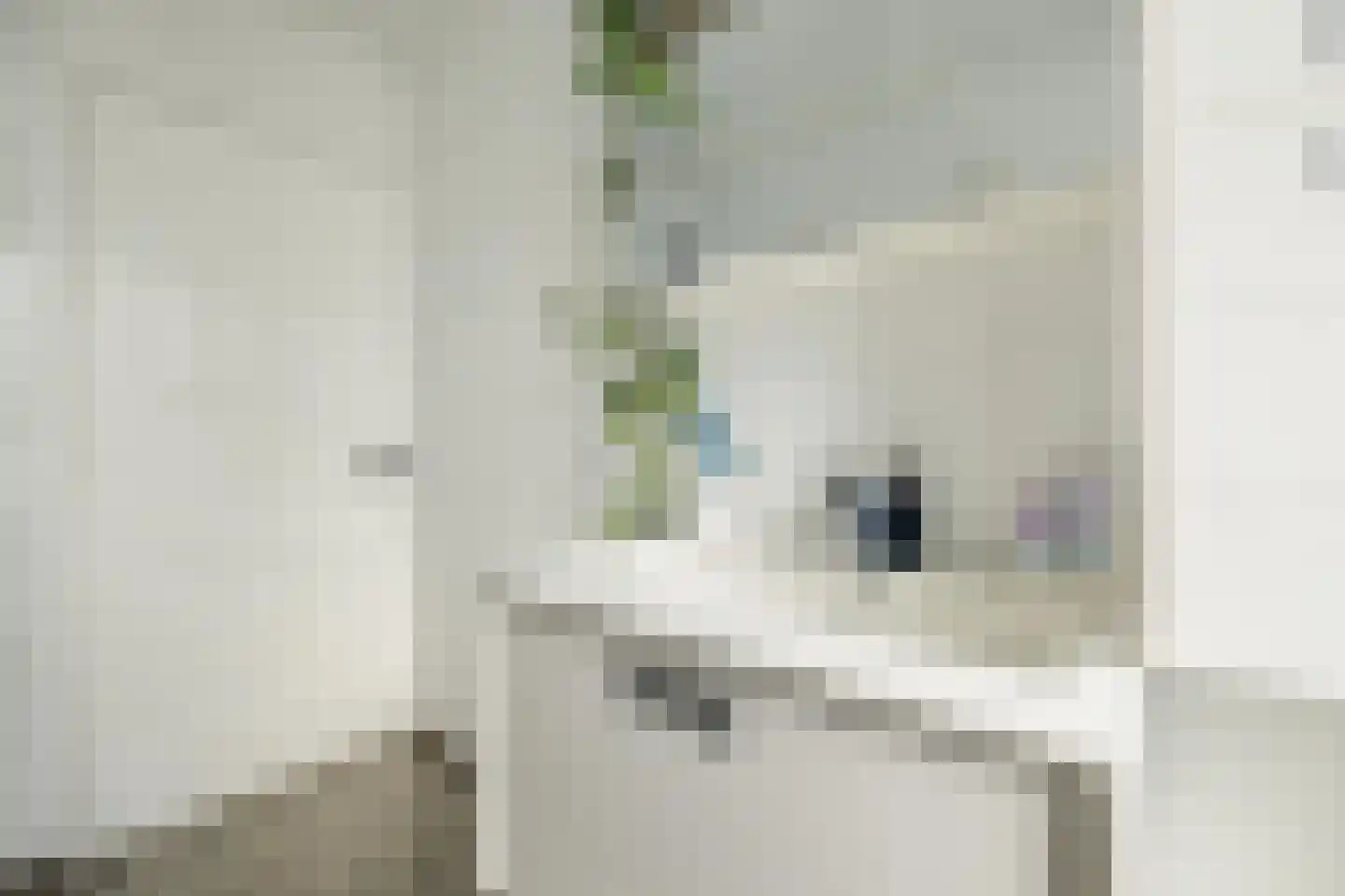 Polderstraat 30 Breda thumbnail 39
