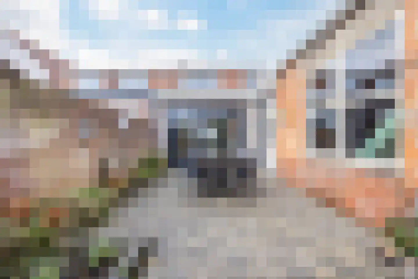 Polderstraat 30 Zaamslag thumbnail 30