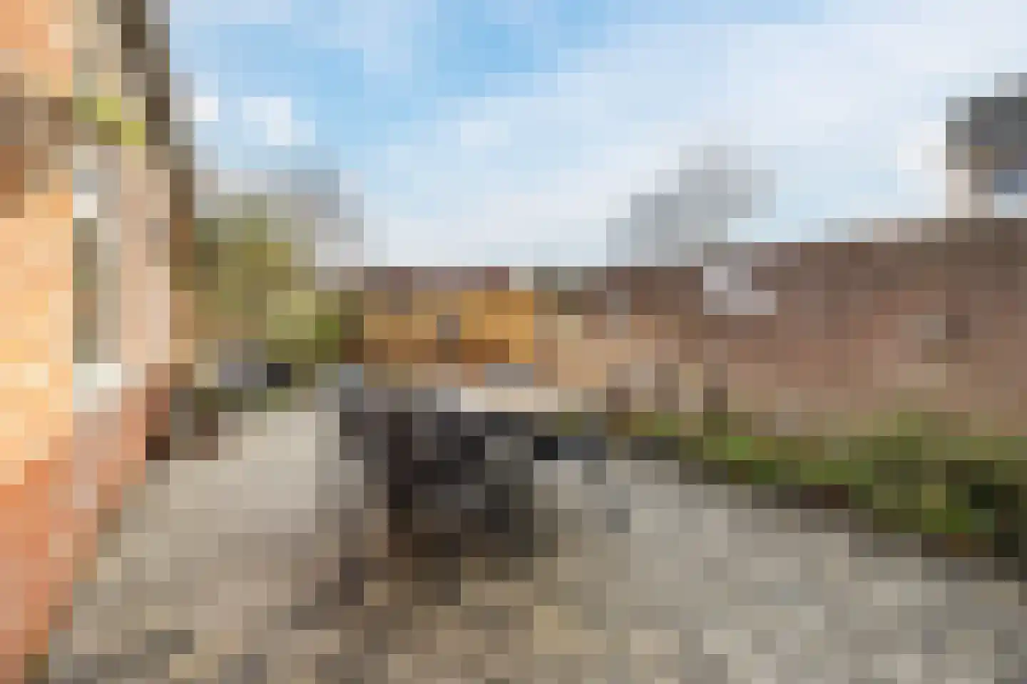 Polderstraat 30 Zaamslag thumbnail 32