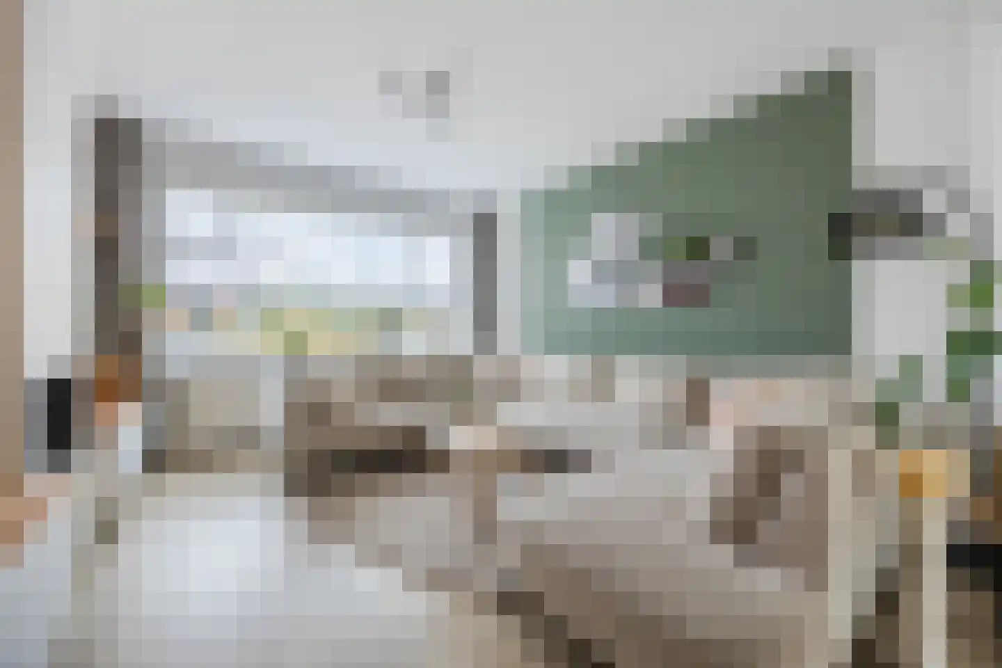 Polderstraat 30 Zaamslag thumbnail 7