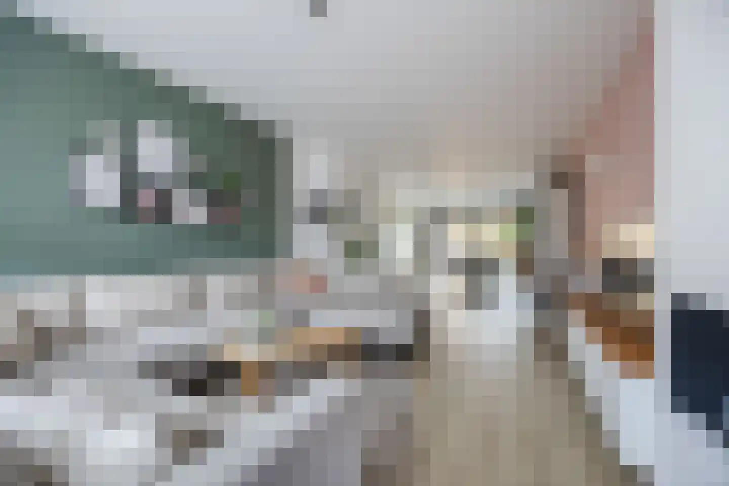 Polderstraat 30 Zaamslag thumbnail 8