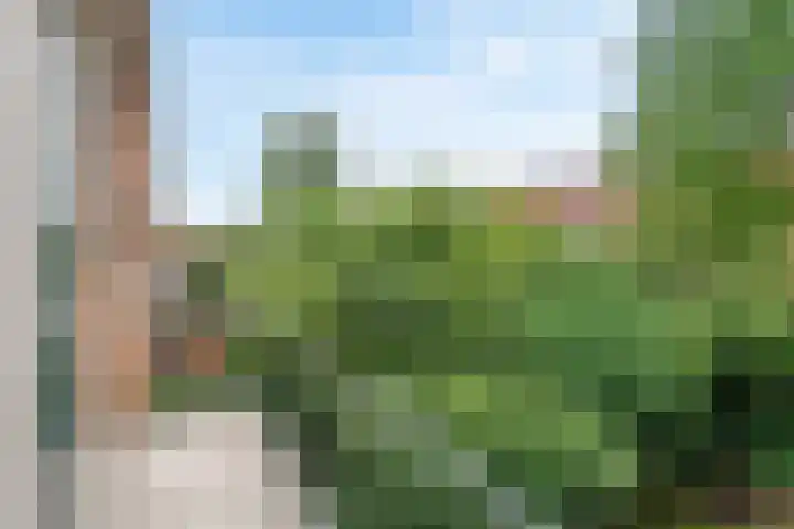 Polderstraat 4 Nijmegen thumbnail 12