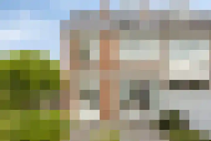 Polderstraat 50 Terheijden thumbnail 27
