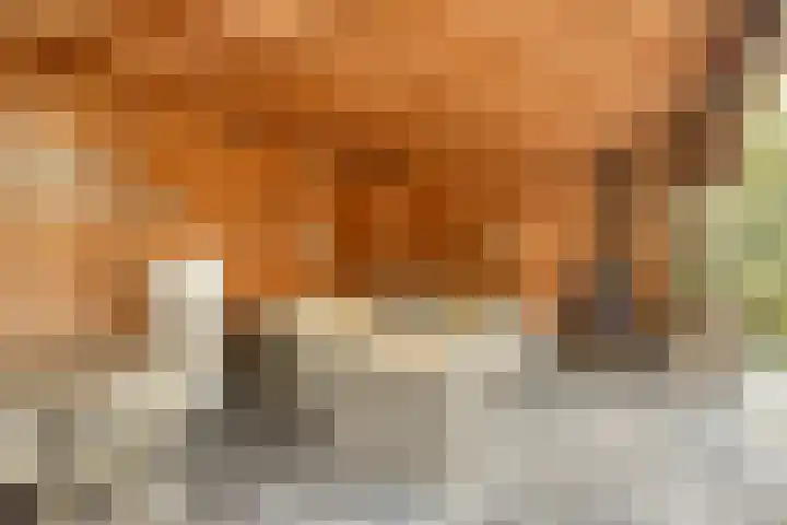 Polderstraat 50 Terheijden thumbnail 30