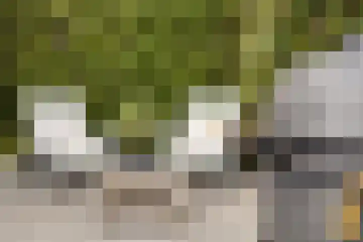 Polderstraat 50 Terheijden thumbnail 32