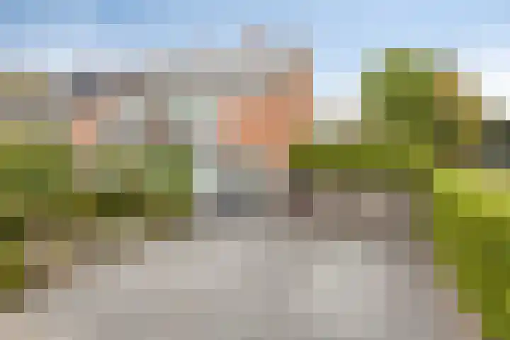 Polderstraat 50 Terheijden thumbnail 34