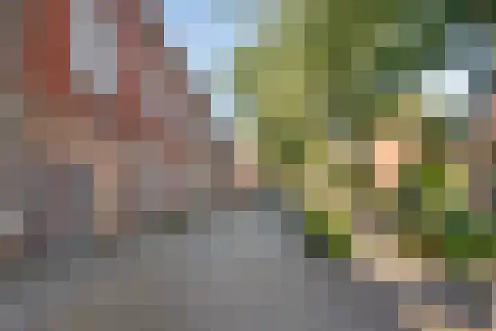Polderstraat 63 Groningen thumbnail 5