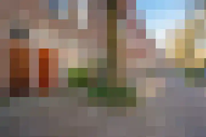 Polderstraat 65 Groningen thumbnail 23