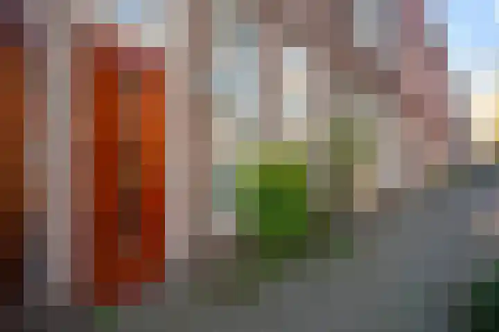 Polderstraat 65 Groningen thumbnail 4