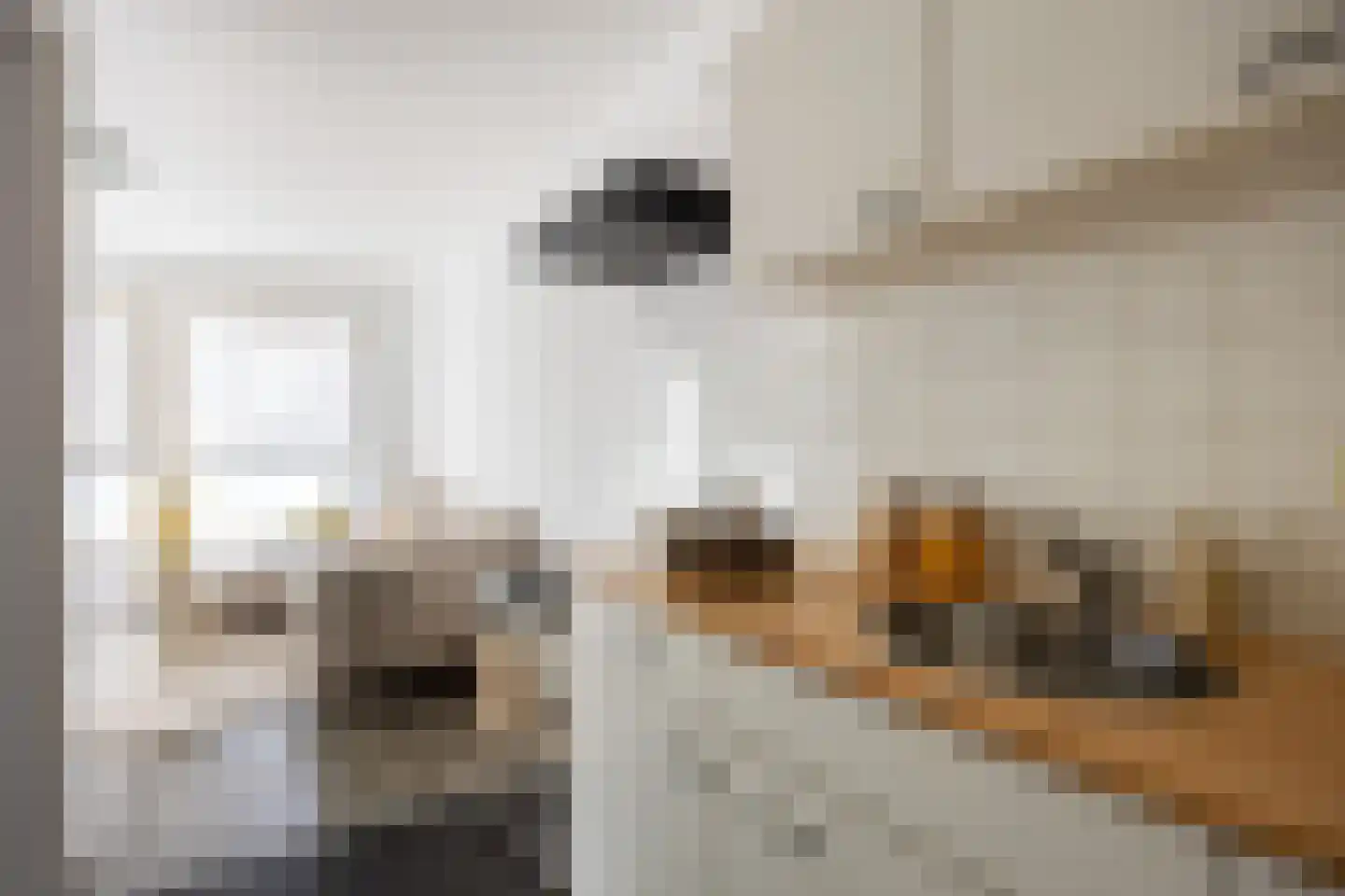 Polderstraat 69 Groningen thumbnail 11