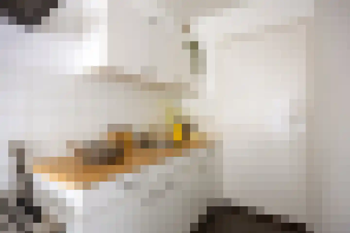 Polderstraat 69 Groningen thumbnail 21