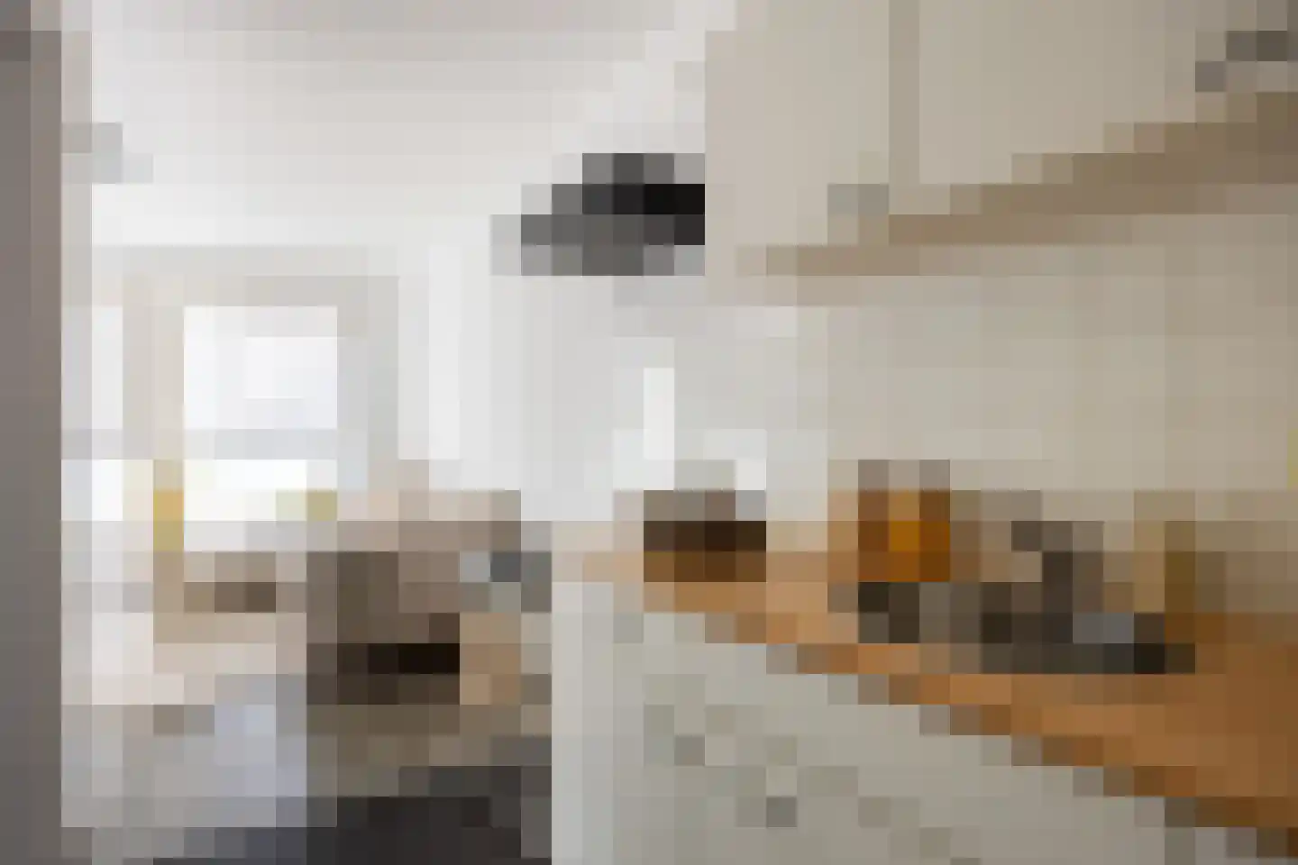 Polderstraat 69 Groningen thumbnail 7