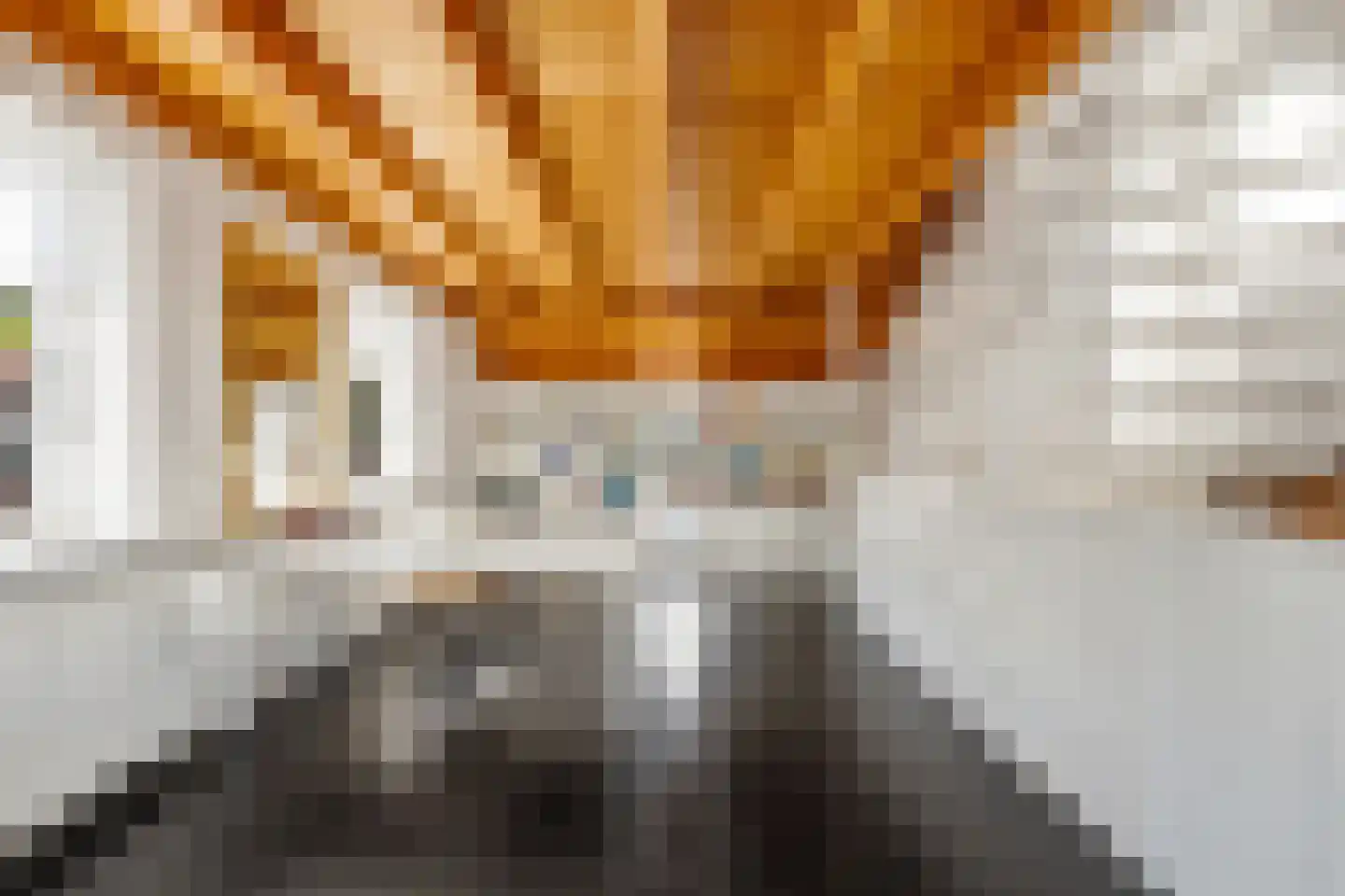 Polderstraat 80 Alblasserdam thumbnail 34