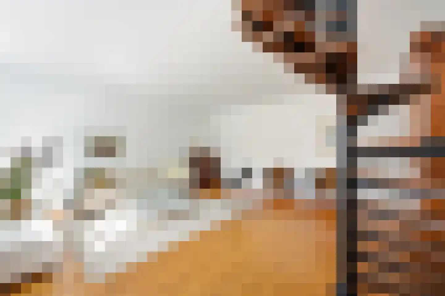 Polderstraat 80 Alblasserdam thumbnail 5