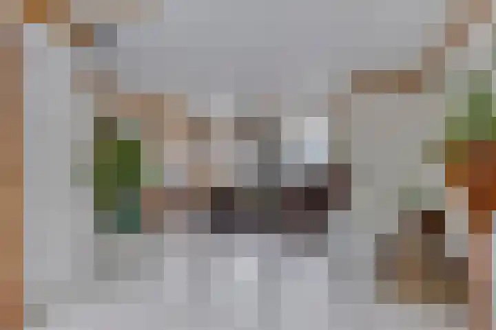 Polderstraat 9 Sommelsdijk thumbnail 10