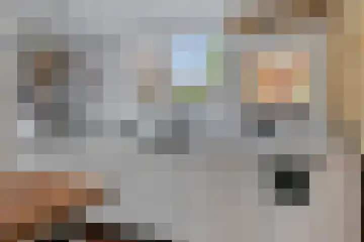 Polderstraat 9 Sommelsdijk thumbnail 16