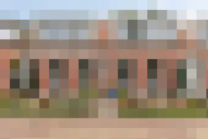 Polderstraat 9 Sommelsdijk thumbnail 39