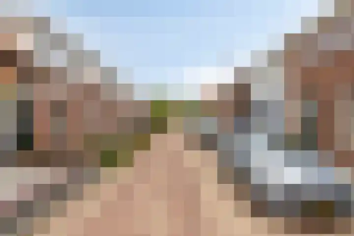 Polderstraat 9 Sommelsdijk thumbnail 4