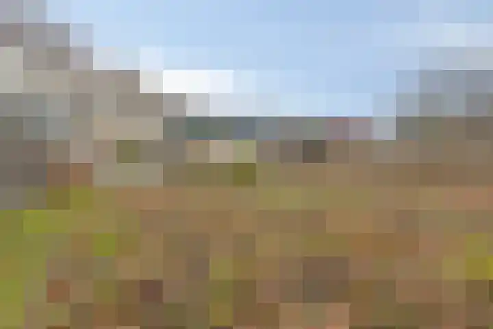 Poldersweegje 5 Dirksland thumbnail 28