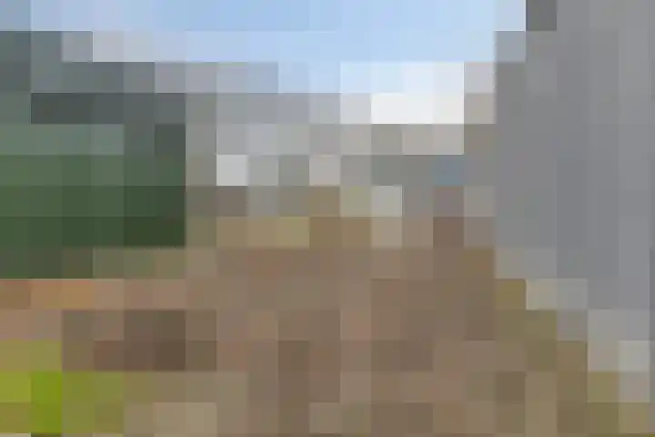 Poldersweegje 5 Dirksland thumbnail 30